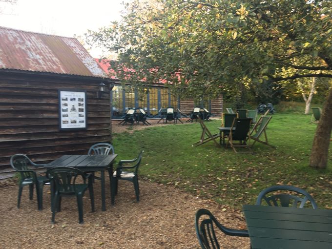 The Orchard Tea Rooms. The plastic isn't very classy but the company was. Here Rupert Brooke, Ginny Wolfe, Bertrand Russell and Wittgenstein passed the time of day. Collectively they were known as the Grantchester Group.