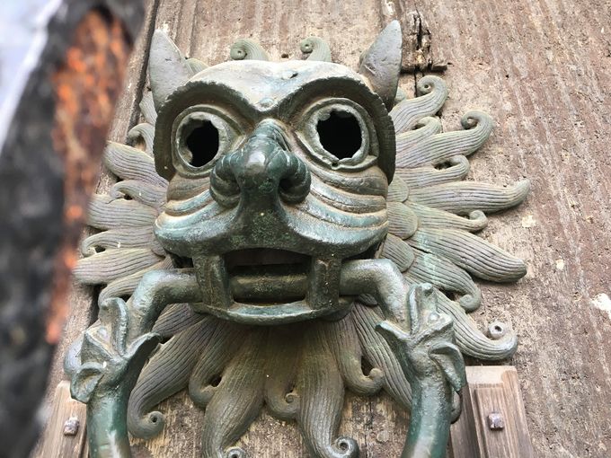 A Durham Gargoyle or the witless Archbishop of Canterbury. You decide.