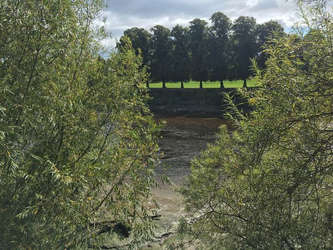 A glimpse of the River. There at the beginning and there at the end of our walk.